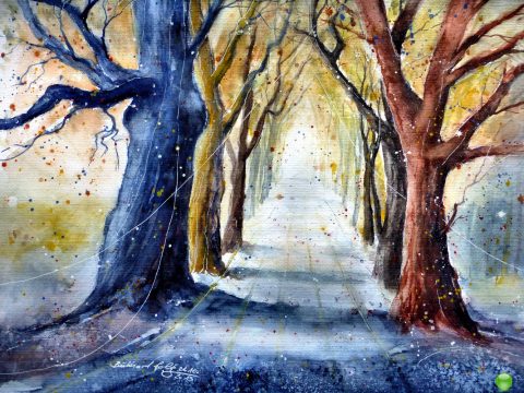 Die Allee bei Corvey - stimmungsvoll in Szene gesetzt von Burkhard Foltz.